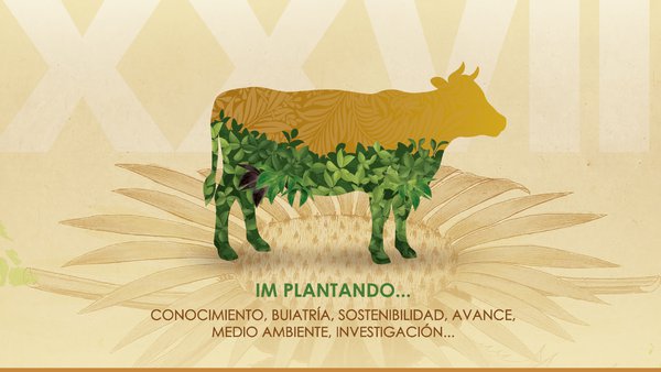 El XXVII Congreso de Anembe, esta semana en Vitoria