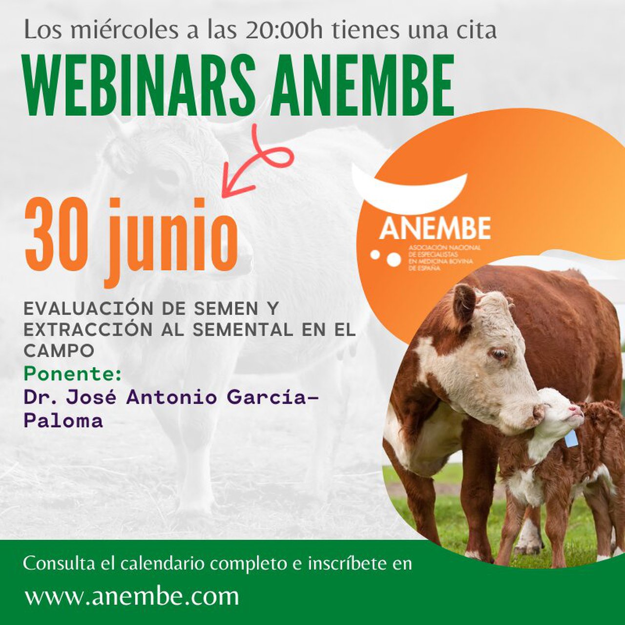 Anembe celebra hoxe un webinario sobre avaliación do seme