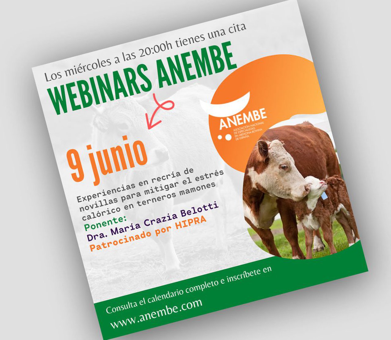 Novo webinario de Anembe sobre a recría de xovencas para mitigar o estrés calórico