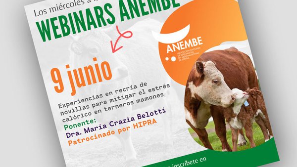 Novo webinario de Anembe sobre a recría de xovencas para mitigar o estrés calórico