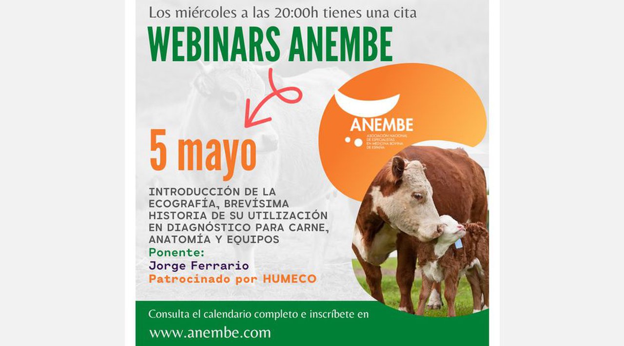 O vindeiro mércores, webinario de Anembe sobre ecografía en vacún