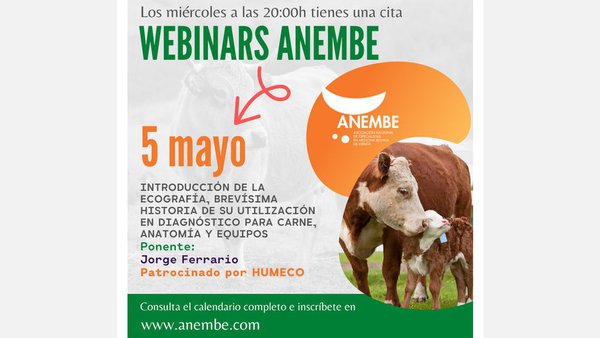 O vindeiro mércores, webinario de Anembe sobre ecografía en vacún