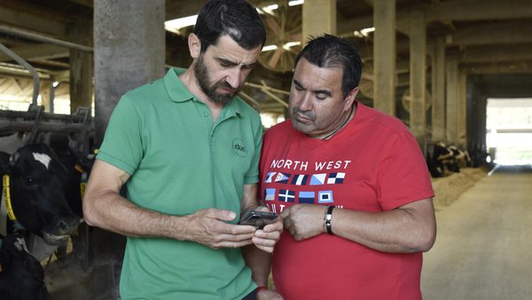 Gando, una plataforma online que unifica todos los datos de la granja