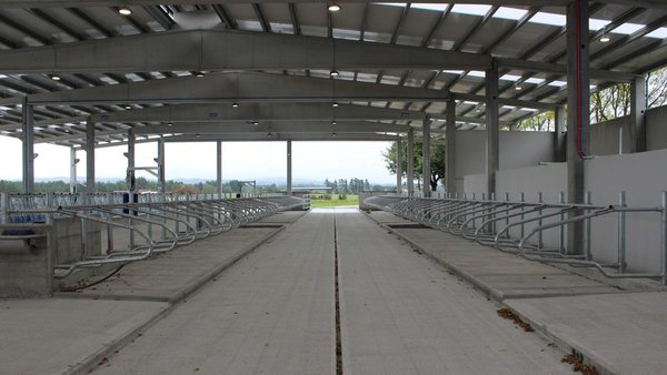 Rematado o primeiro centro de investigación sobre produción láctea da provincia de Lugo