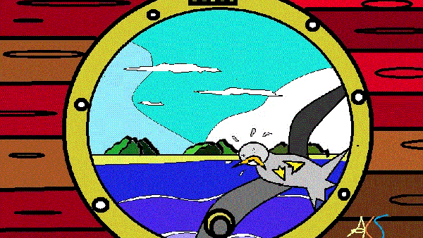 Quen mata as gaivotas?