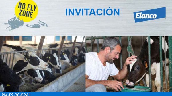 Abre el registro para acceder al webinario sobre cómo reducir la transmisión de enfermedades de Elanco
