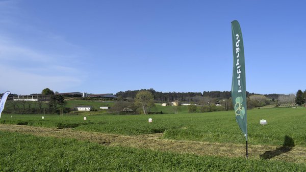 As mesturas biodiversas de Fertiprado: sustentables, baratas e eficientes