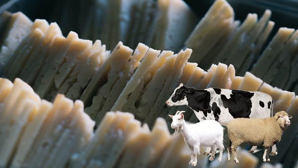 La InLac financiará proyectos que cuantifiquen la leche de diferentes especies contenidas en quesos de mezcla