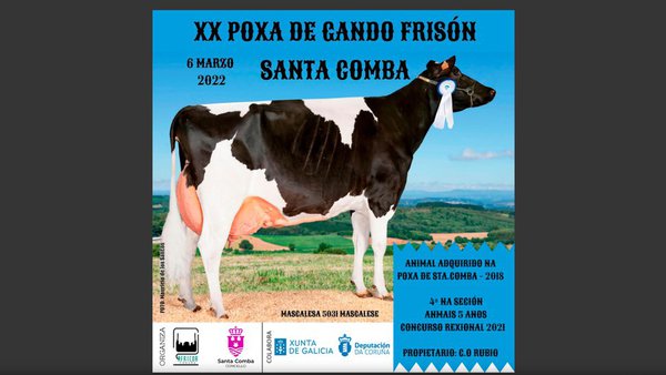 O libro da poxa deste domingo en Santa Comba, xa on-line!