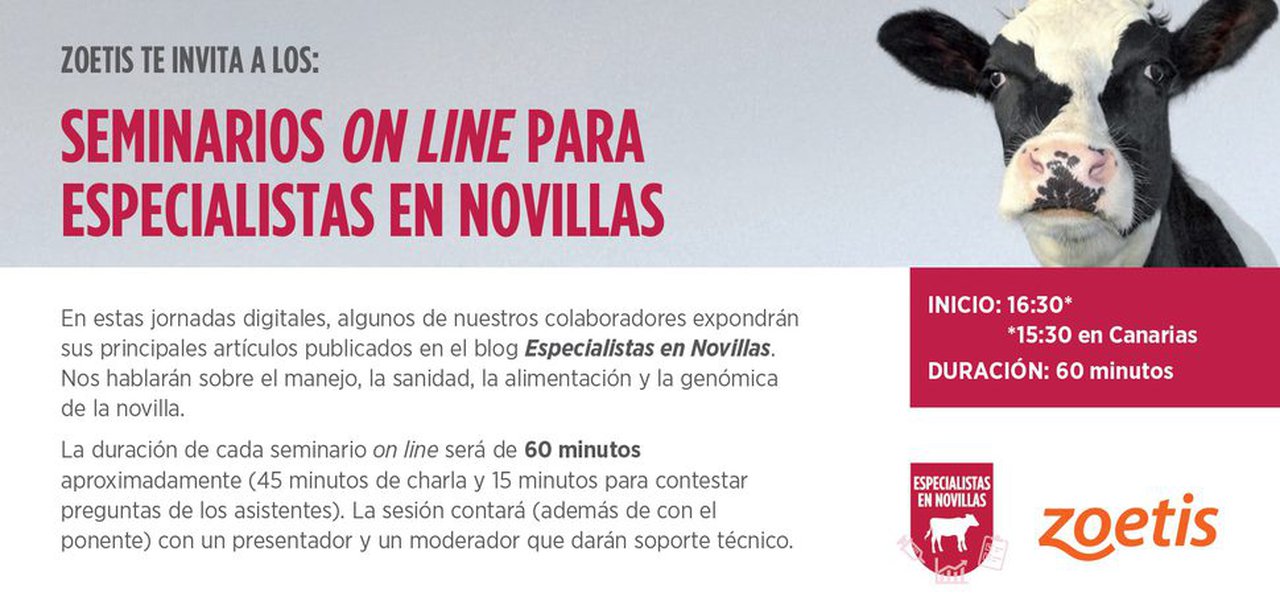 1400 profesionais asisten os seminarios online de Especialistas en Novillas