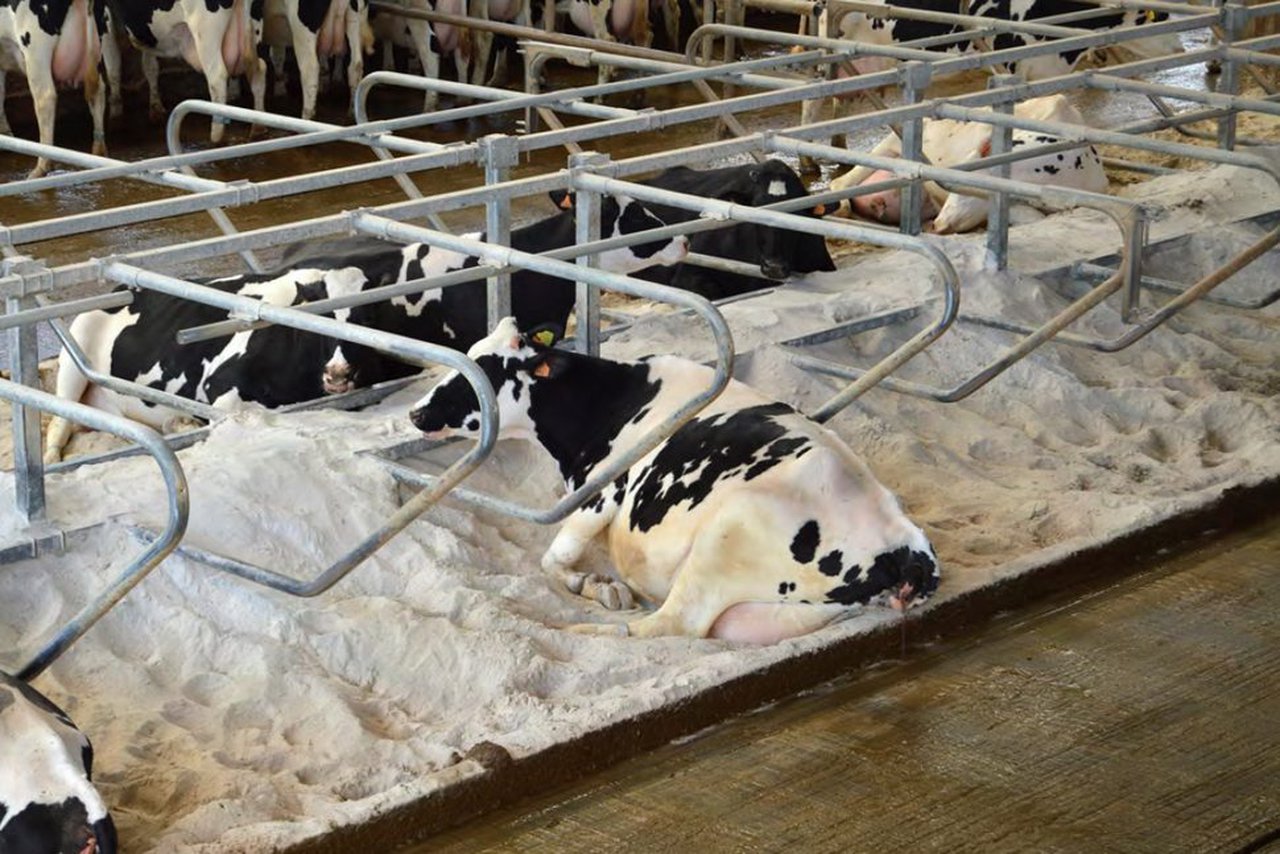A convocatoria de axudas para as ADSG de Galicia, xa dispoñible