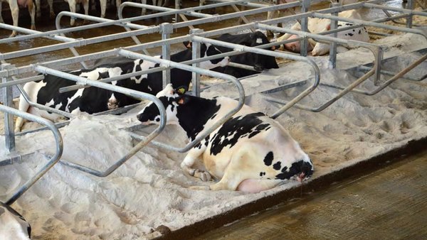La convocatoria de ayudas para las ADSG de Galicia, ya disponible