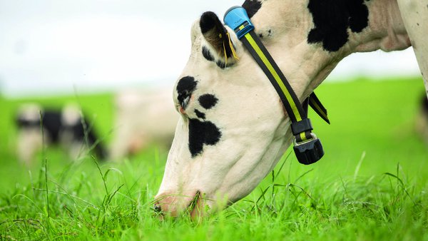 Cómo los sistemas de monitorización son eficaces a la hora de anticiparnos a las patologías ocasionadas por los cambios en la alimentación
