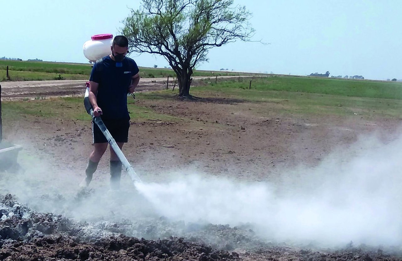 Métodos para combatir moscas sin dañar el medio ambiente ni recurrir a insecticidas