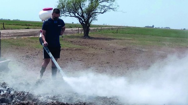 Métodos para combatir moscas sin dañar el medio ambiente ni recurrir a insecticidas