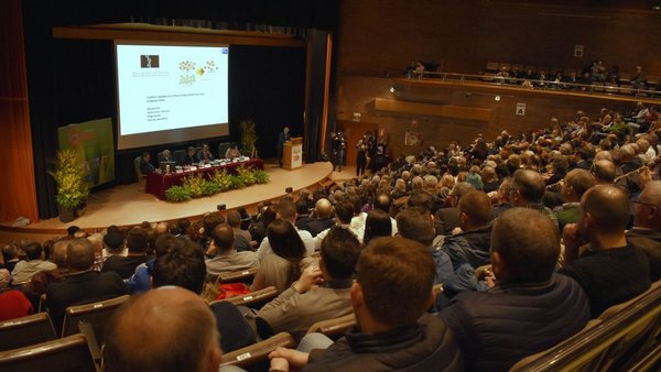 La gala de entrega del XX Premio Aresa,en vídeo