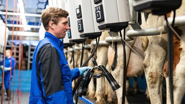 DeLaval lanza la serie MA de automatización del ordeño para salas convencionales