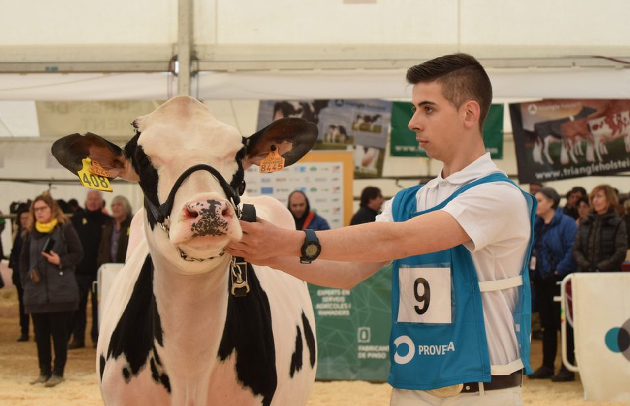 Avelino Souto lidera la nueva directiva del Clube de Xóvenes Gandeiros de Galicia
