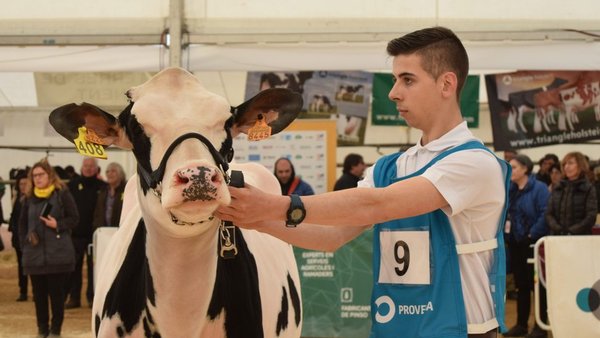 Avelino Souto lidera a nova directiva do Clube de Xóvenes Gandeiros de Galicia