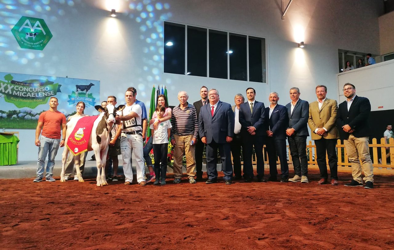 7978, una hija de Bullseye, elegida novilla gran campeona en Azores