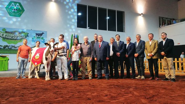 7978, una hija de Bullseye, elegida novilla gran campeona en Azores