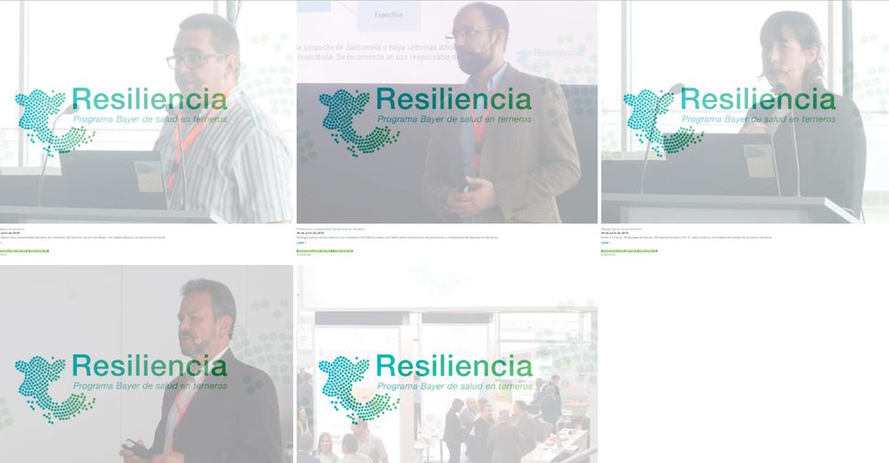 Conferencias Bayer sobre saúde dos xatos