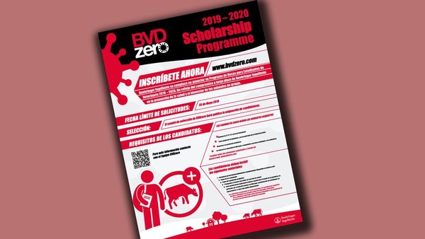 Boehringer Ingelheim convoca as bolsas BVDzero para estudantes de veterinaria de todo o mundo