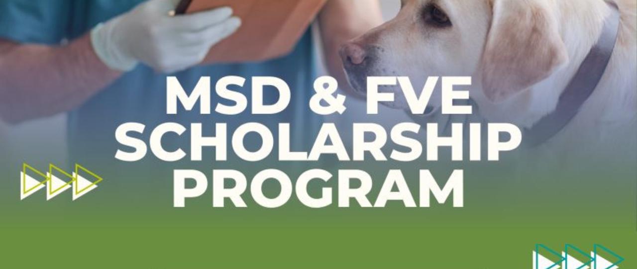 MSD y la FVE otorgarán 34 becas a estudiantes europeos de Veterinaria por valor de 5.000 $