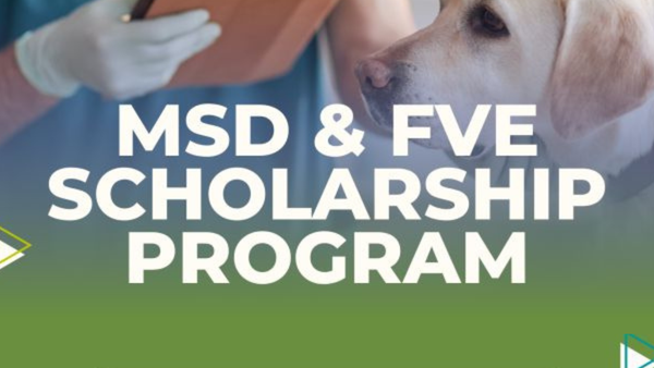 MSD e a FVE outorgarán 34 becas a estudantes europeos de Veterinaria por valor de 5.000 $