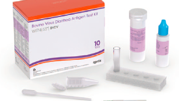 Novo Witness® BVDV: test rápido de detección de BVD en granxa