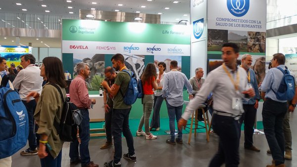 Boehringer Ingelheim patrocinó el XXVI Congreso Anembe de Medicina Bovina