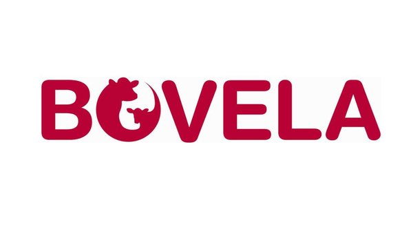 Bovela® , líder fronte á BVD