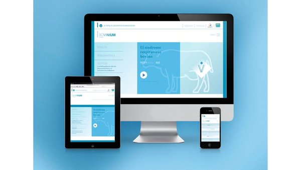 Nova actualización de Bovinium sobre a utilización terapéutica dos antibióticos no SRB