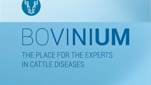 Bovinium aborda o diagnóstico da SRB na súa última actualización