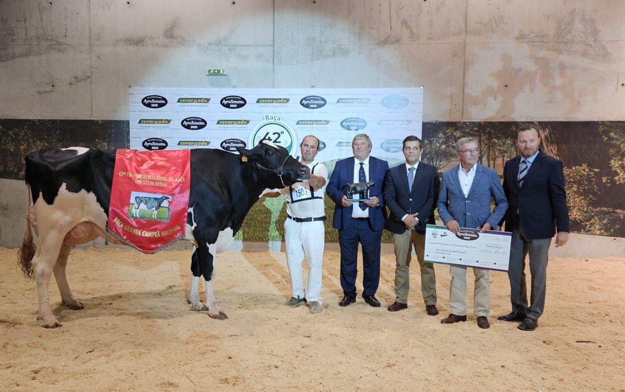 O Nacional de Portugal coroa a Bradnick 6348 como a súa vaca gran campiona