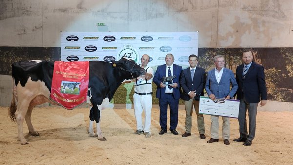 O Nacional de Portugal coroa a Bradnick 6348 como a súa vaca gran campiona