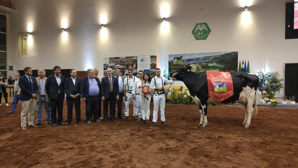 ORP Doorman Natacha proclámase vaca gran campiona de Portugal en Azores!