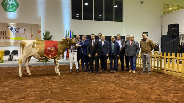 Alesio Sg-Red 4859, gran campiona de xatas e xovencas do Concurso de Outono de Azores