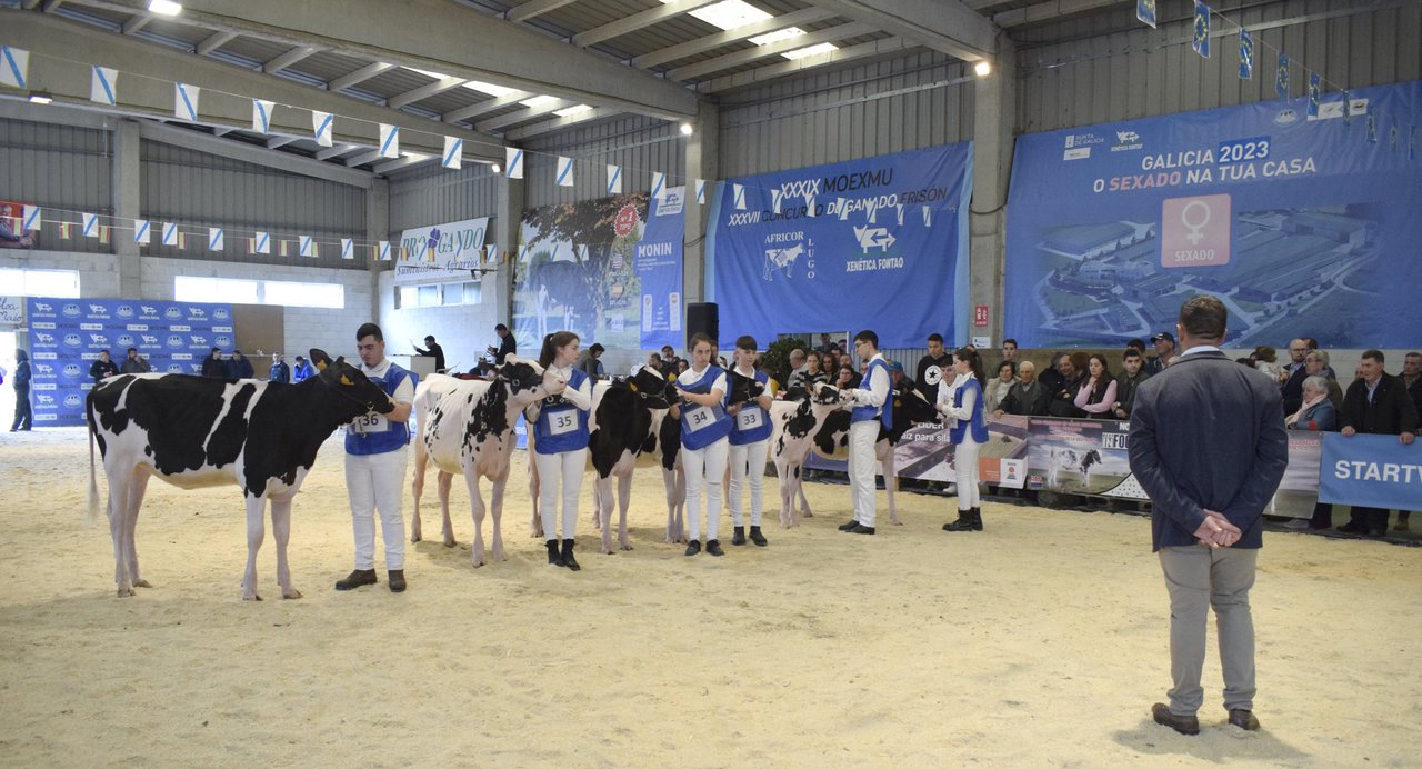 Comienza este fin de semana el Campeonato-Puntuable Club Xóvenes Gandeiros de Galicia 2024