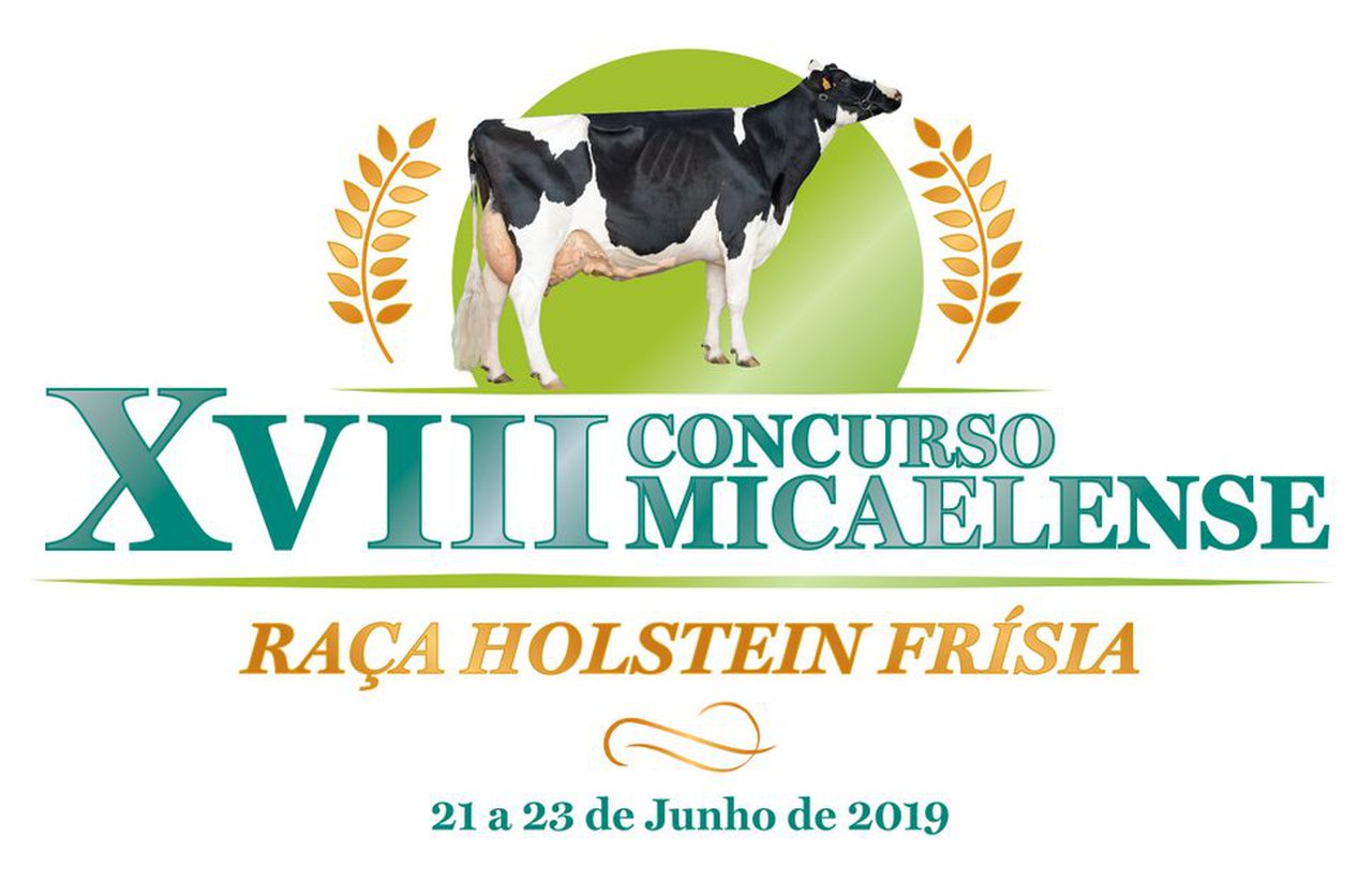 Todo a punto en San Miguel para la celebración del Concurso Micaelense