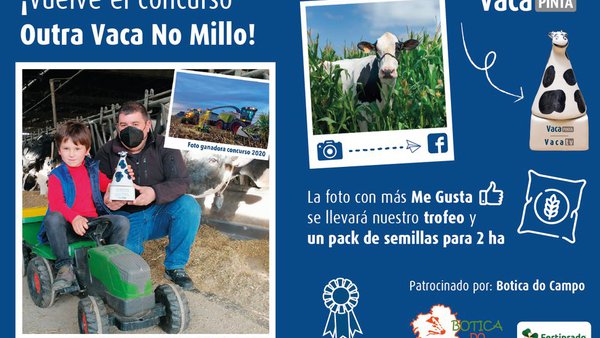 Estamos na pescuda da vosa mellor foto de "Outra Vaca no Millo"