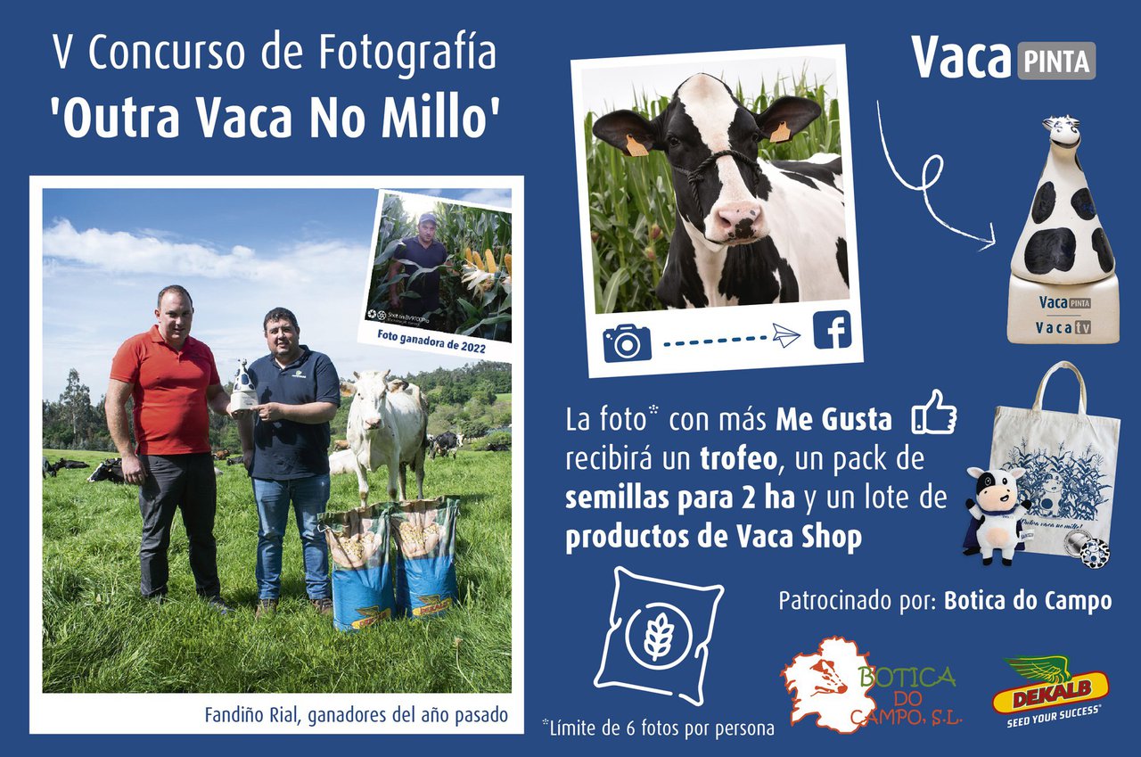 V Concurso de Fotografía 'Outra Vaca No Millo'