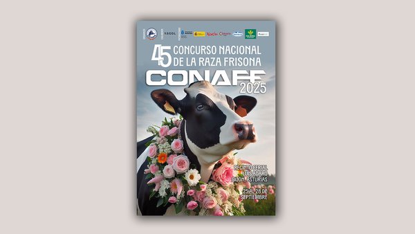 Case 300 animais inscritos no 45.º Concurso Nacional da Raza Frisona