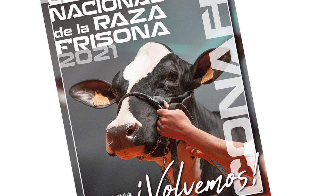 As frisonas volven ás pistas: en setembro regresa o Concurso Nacional
