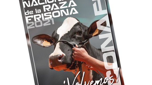As frisonas volven ás pistas: en setembro regresa o Concurso Nacional