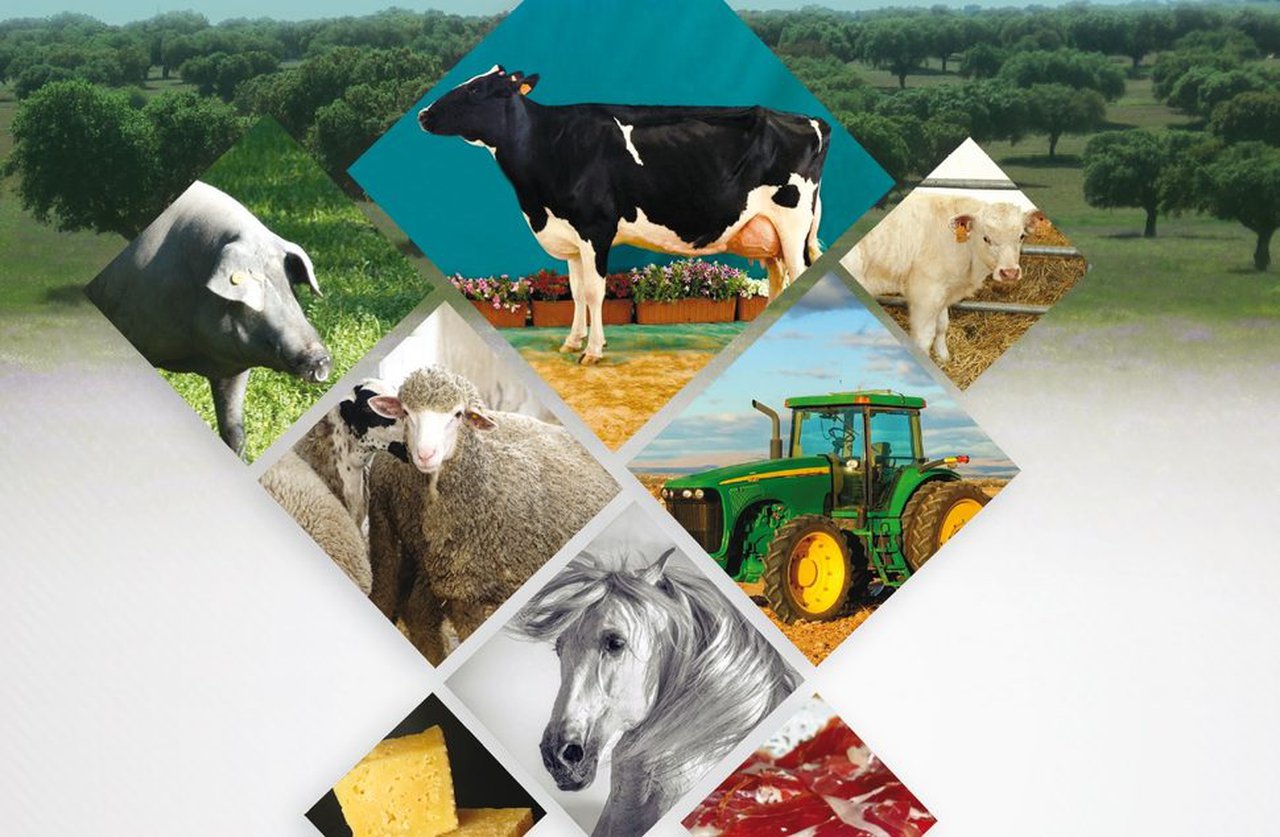 Ya disponible el programa completo de la Feria de Pozoblanco