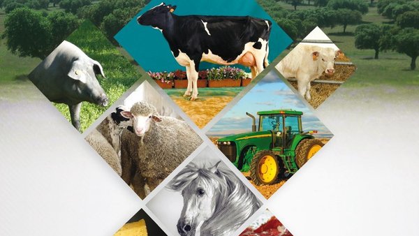 Xa dispoñible o programa completo da Feira de Pozoblanco