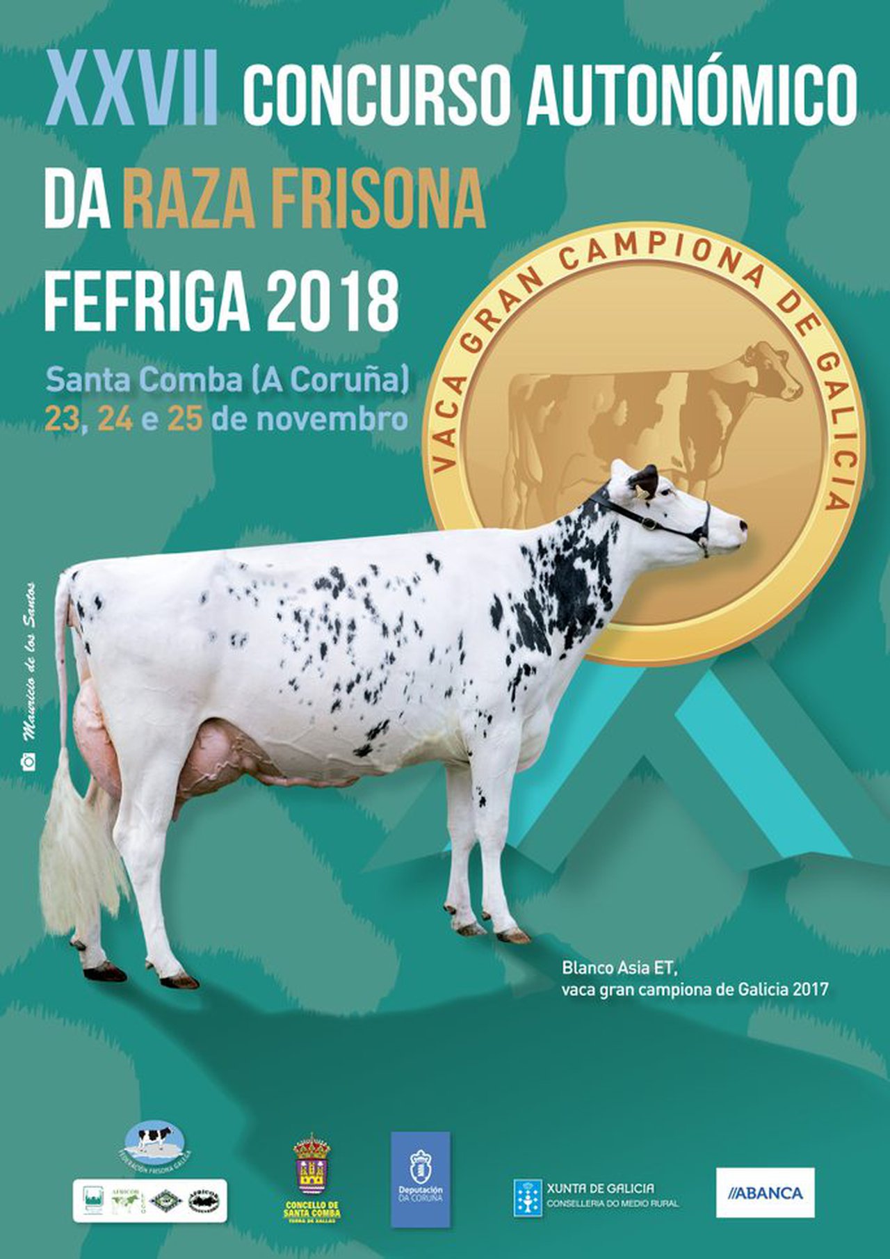 Tres días para o Concurso Autonómico da Raza Frisona Fefriga 2018