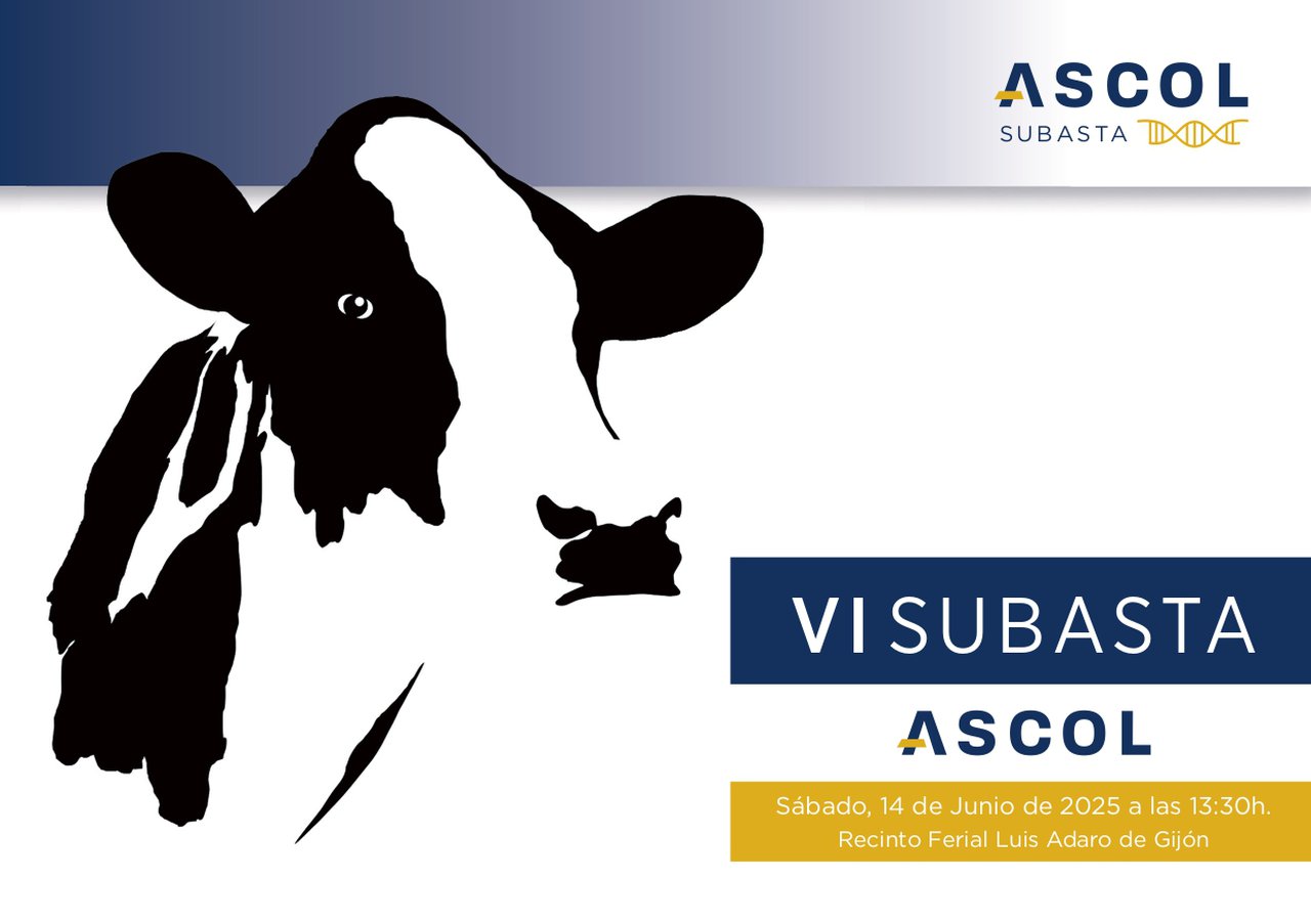 A VI Poxa Ascol porá a venda 8 lotes no transcurso do Rexional de Asturias