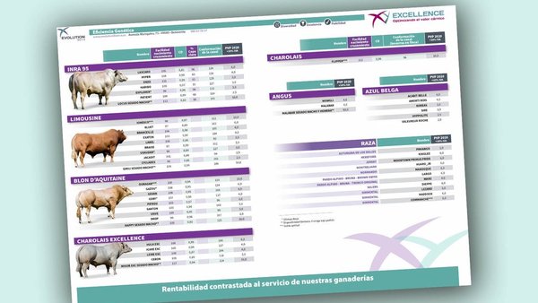 Primeiro catálogo XY Excellence, de Evolution Iberica XY, de cruzamento cárnico para Holstein